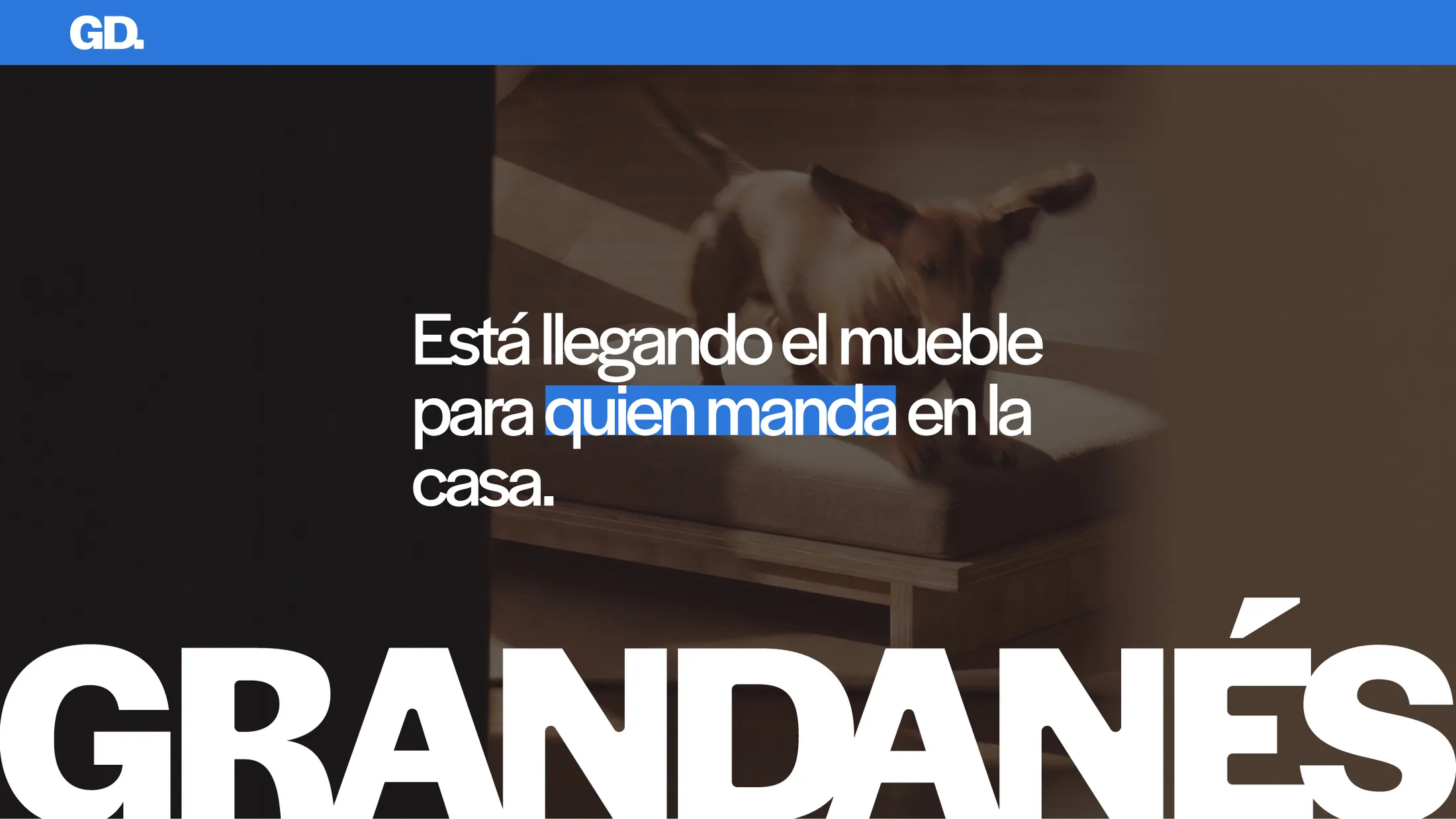Home page of studiograndanes.com: “Está llegando el mueble para quien manda en la casa.” over a photo of a dog, above the GRANDANÉS wordmark.