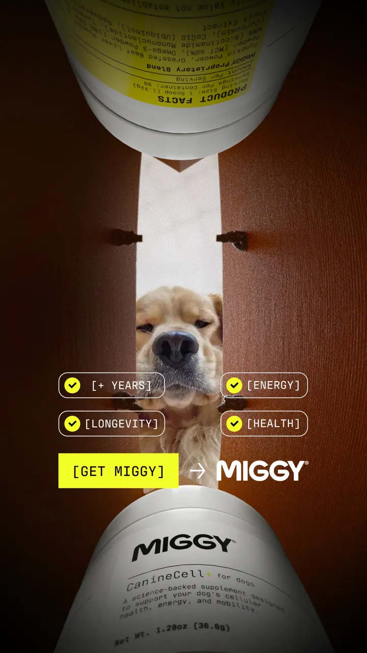 MIGGY launch ad, vertical
