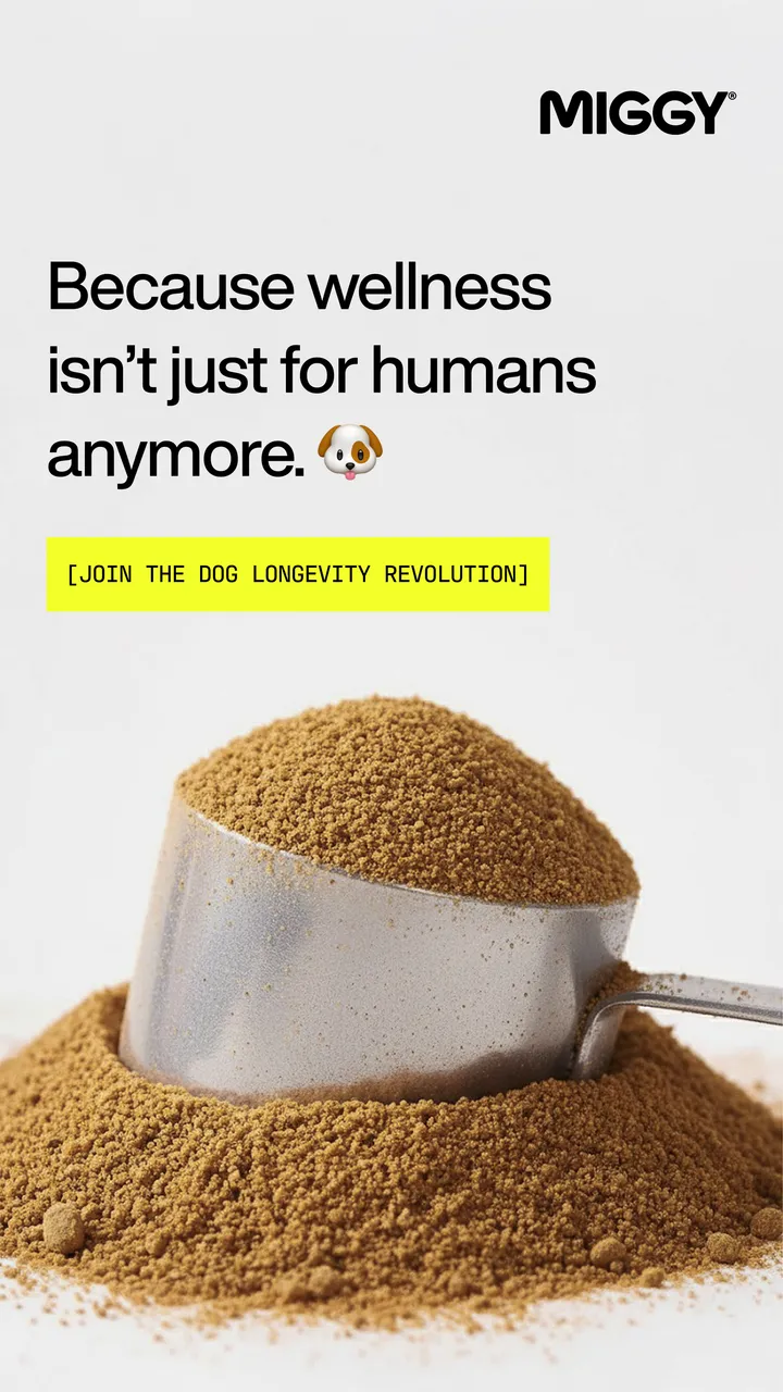 MIGGY launch ad, vertical