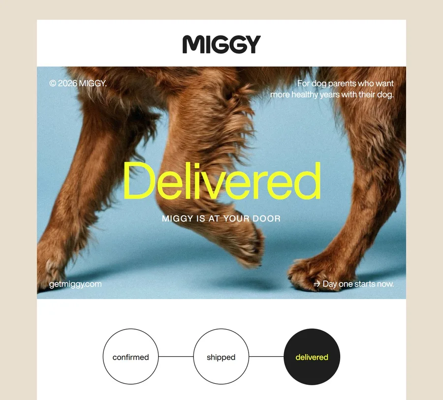 MIGGY delivery email: Delivered