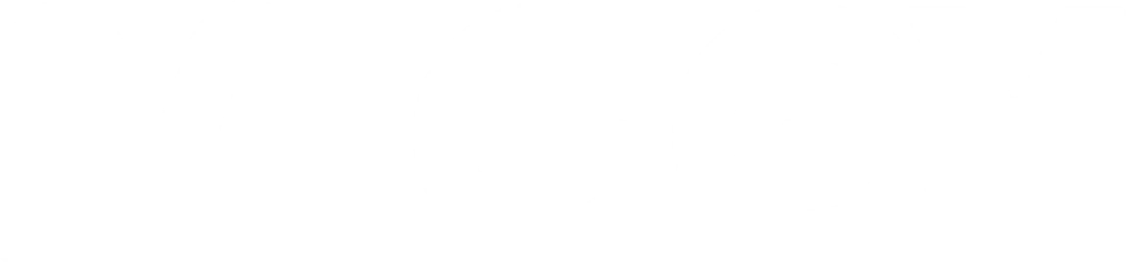 The MIGGY wordmark