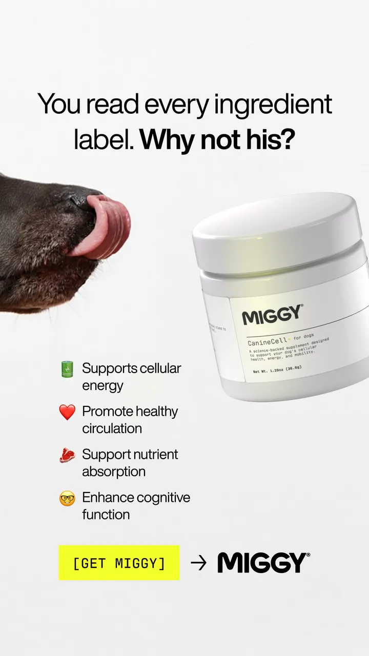 MIGGY static ad: You read every ingredient label. Why not his?