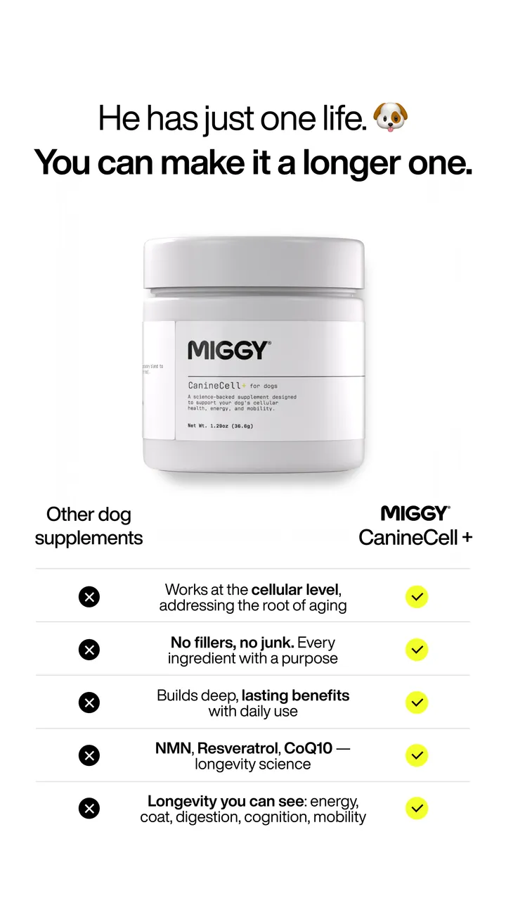 MIGGY static ad: He has just one life. You can make it a longer one.