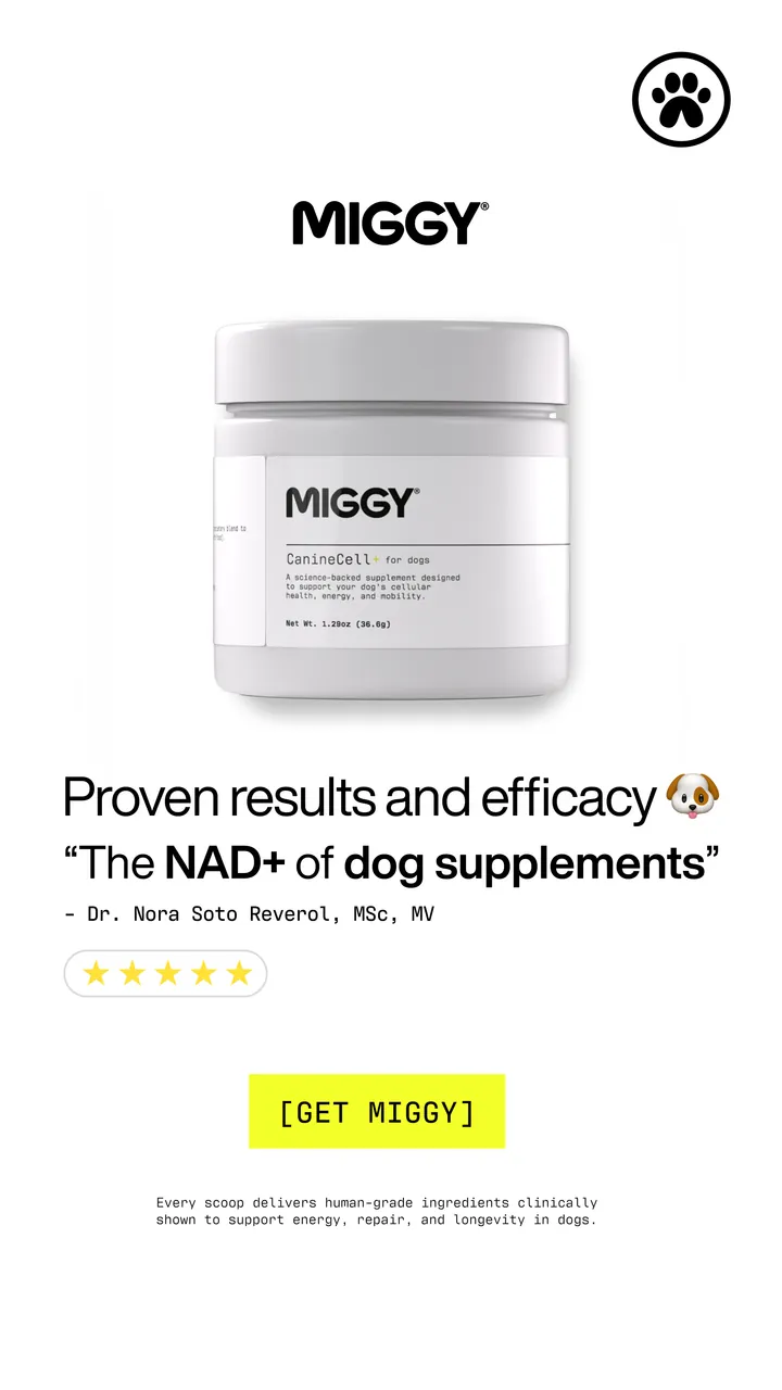MIGGY static ad: Proven results and efficacy.