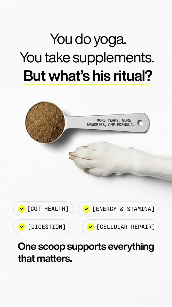 MIGGY static ad: You do yoga. You take supplements. But what’s his ritual?