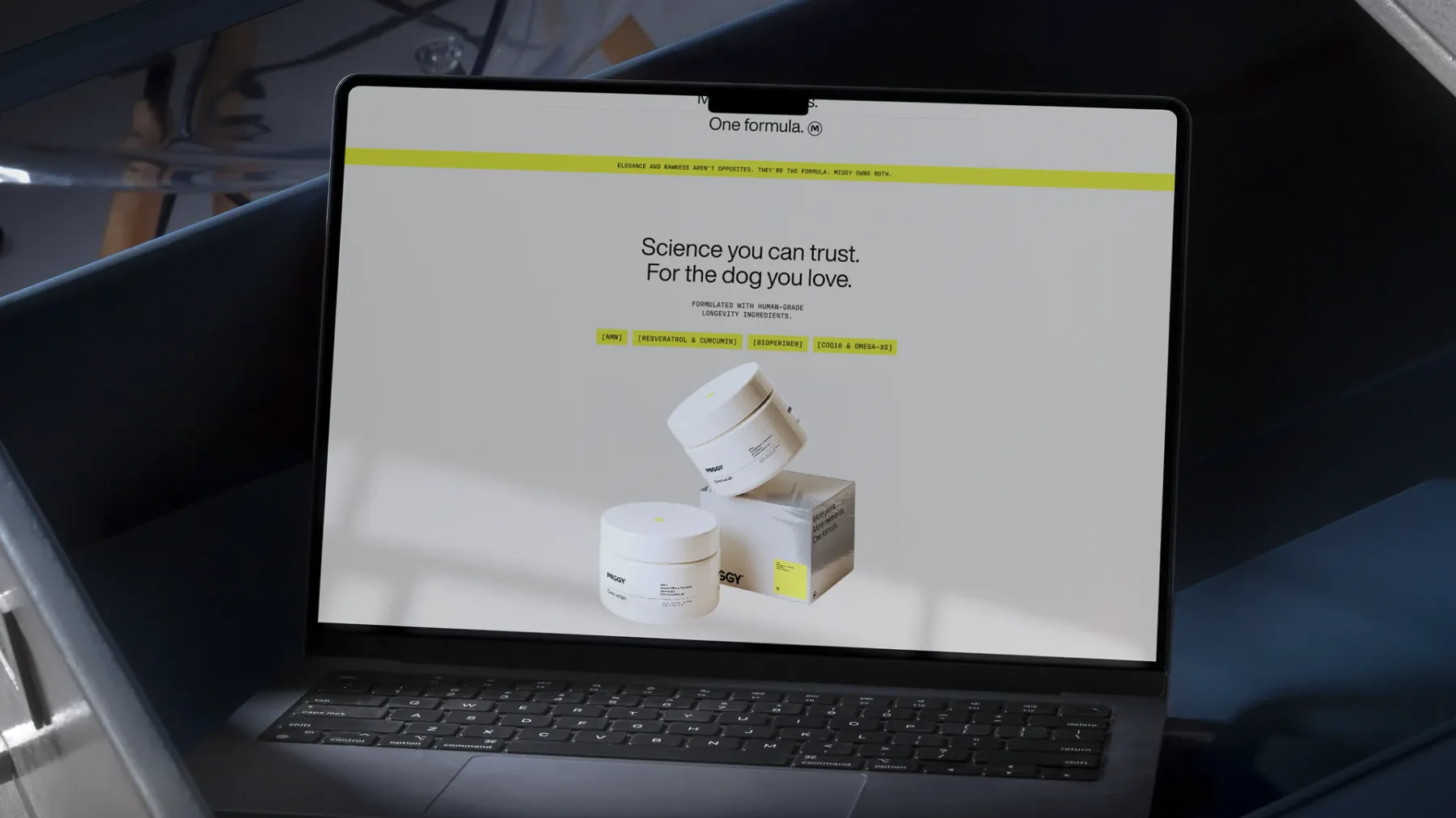 The MIGGY website on a laptop