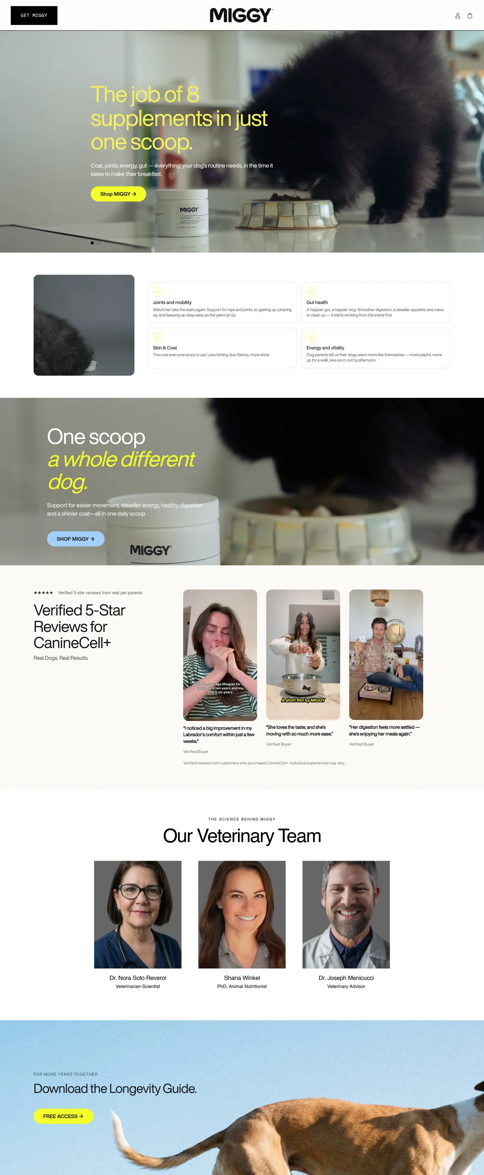 MIGGY website on desktop, captured from the site